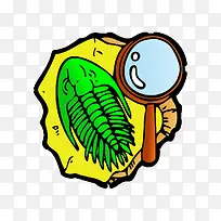 手绘化石-空若网 手绘化石-空若网