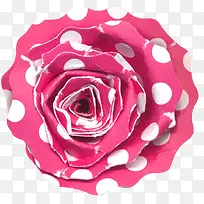 波点玫瑰花-空若网 波点玫瑰花-空若网