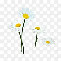 �����ɫ����װ��-������