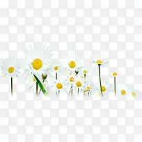 �����ɫװ�γ���-������