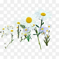 ������ɫ��������-������