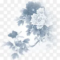 中秋节黑白色九月菊-空若网 中秋节黑白色九月菊-空若网