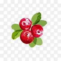 手绘水彩山楂免抠素材-空若网 手绘水彩山楂免抠素材-空若网