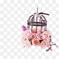 鸟笼png素材-空若网 鸟笼png素材-空若网