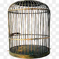 手绘鸟笼-空若网 手绘鸟笼-空若网