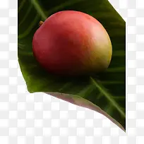 芒果-空若网 芒果-空若网