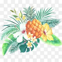 热带水果菠萝-空若网 热带水果菠萝-空若网