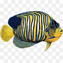 ʸ�������-������