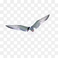 ����-������