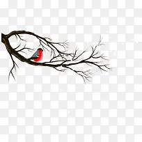 树枝 小鸟-空若网 树枝 小鸟-空若网