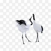 �����׶�������-������