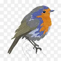 ʸ����ȸͼƬ-������