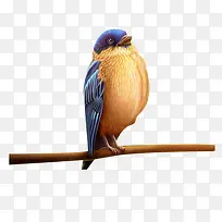 �ɰ�����-������