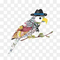 手绘鹦鹉-空若网 手绘鹦鹉-空若网