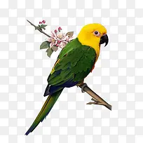 ��������-������