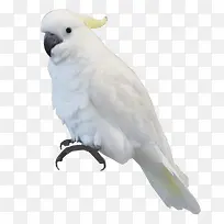 ����-������