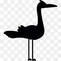 火烈鸟图标-空若网 火烈鸟图标-空若网