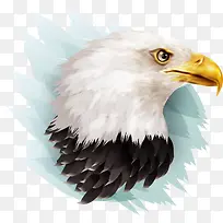 矢量老鹰插画-空若网 矢量老鹰插画-空若网