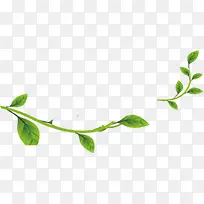 ��ɫ��֦�Ա�����-������