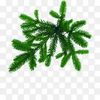 ÂÌÉ«ËÉÊ÷Ö¦ËØ²ÄÌÔ±¦´ÙÏú-¿ÕÈôÍø ÂÌÉ«ËÉÊ÷Ö¦ËØ²ÄÌÔ±¦´ÙÏú-¿ÕÈôÍø