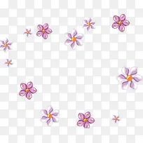 花朵漂浮-空若网 花朵漂浮-空若网