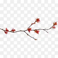 ��֦�������Һ컨-������