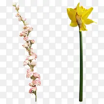 水彩红花黄花-空若网 水彩红花黄花-空若网