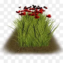 �̲ݺ컨-������