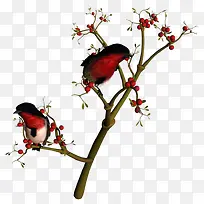 花鸟图案-空若网 花鸟图案-空若网