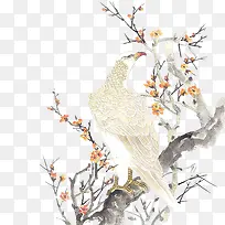 �ŷ�ʻ��ӥ��֦�컨-������