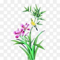 �ŷ��̲ݺ컨-������