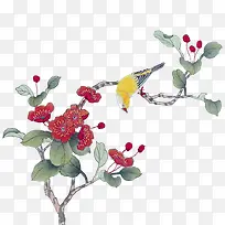 ��֦�컨����-������