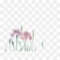 水彩红花-空若网 水彩红花-空若网