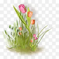 卡通花朵红花绿草-空若网 卡通花朵红花绿草-空若网