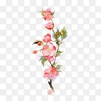 水彩红花植物素材-空若网 水彩红花植物素材-空若网