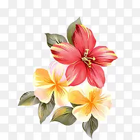 手绘红花 花蕊-空若网 手绘红花 花蕊-空若网