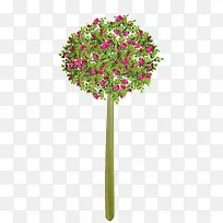 红花树-空若网 红花树-空若网