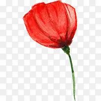 ˮ�ʻ�-������