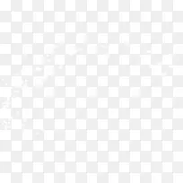 白色漂浮光点效果-空若网 白色漂浮光点效果-空若网