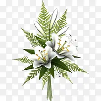 白色百合花-空若网 白色百合花-空若网