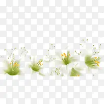 ��ɫ�ٺϻ�-������