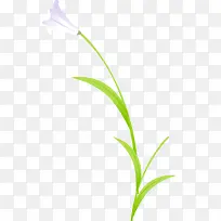 白色卡通百合花-空若网 白色卡通百合花-空若网