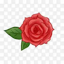玫瑰花png素材-空若网 玫瑰花png素材-空若网