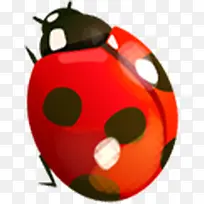 春天红色手绘昆虫-空若网 春天红色手绘昆虫-空若网