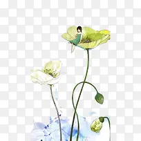 �廭-������