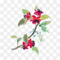 花朵 水彩-空若网 花朵 水彩-空若网