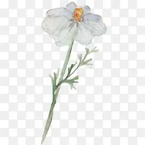 ˮ��ֲ��-������