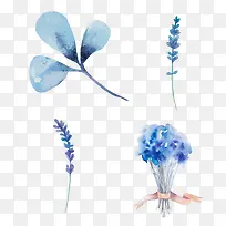 ����ˮ��ֲ��-������