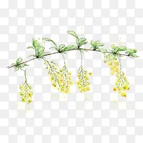 水彩花朵图片背景-空若网 水彩花朵图片背景-空若网