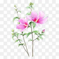 ˮ�ʻ��䱳��-������